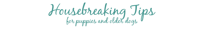 Housebreaking Tips for Puppies and Older Dogs