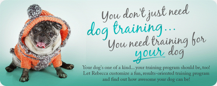 You don't just need dog training... you need training for YOUR dog.